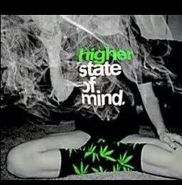 LillyReinM's profile picture. 