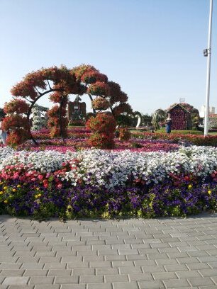 ‏اللهم أسرتي أجمل عطاياك لي فحفظهم