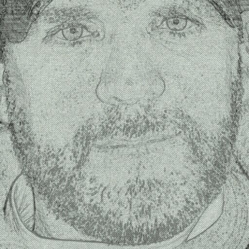 timm441475's profile picture. 