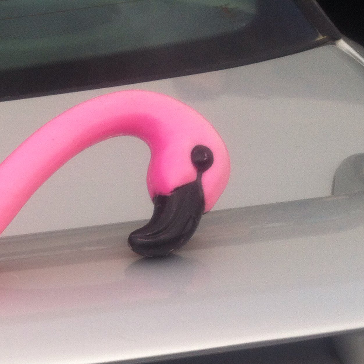 Look out bitches. Flamingo Squad is coming.