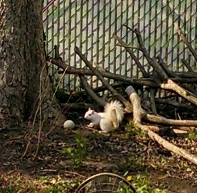 the name is duffy james garfield. I'm outta here... you following me?