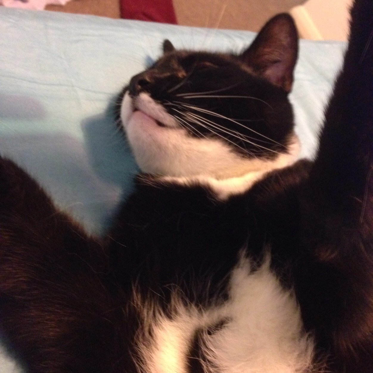 Benj_Keating's profile picture. .