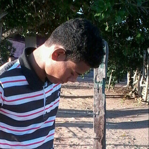 whatsapp: (75) 8244-4026