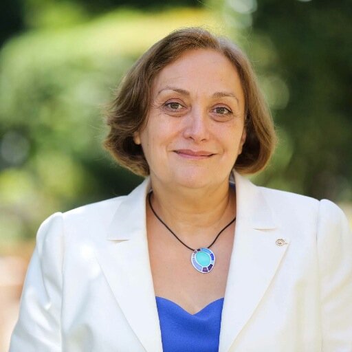 Professor of Philosophy, UCD and University of Oslo