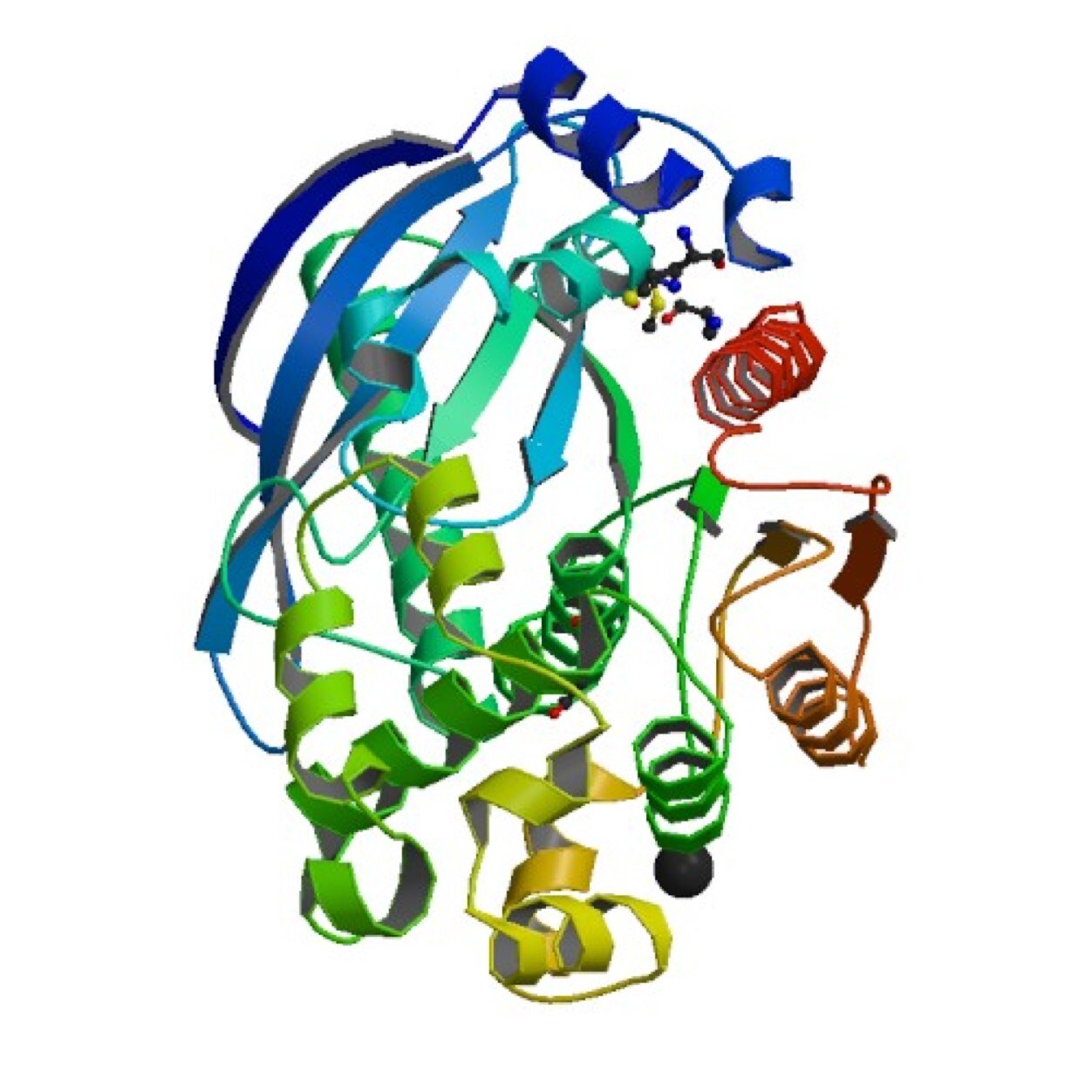 I am a computational biochemist at RIT where I teach Gen Chem and lead a research group that develops software tools for teaching and learning biochemistry.