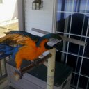 David Hosner - @DavidHosner - Twitter