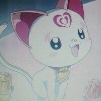 こういち (@koichi_kyoto) 's Twitter Profile Photo