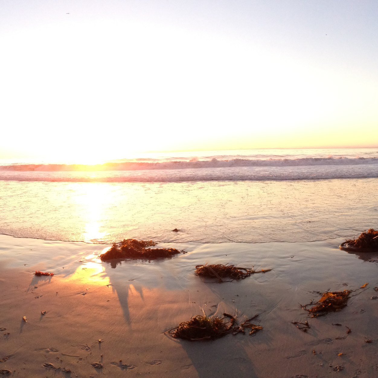 CAhokie7's profile picture. 