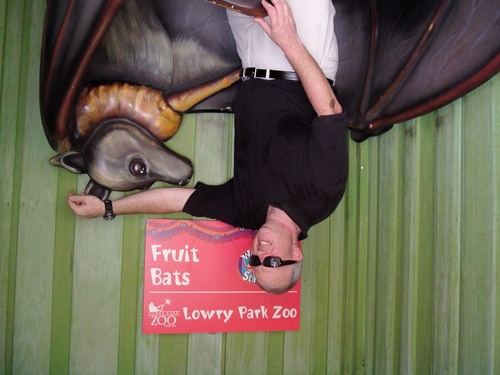 dbmur's profile picture. 