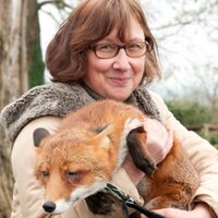 IneseMj (@inessa_ie) 's Twitter Profile