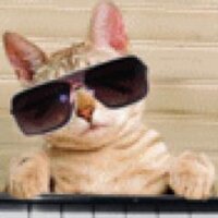 Brian (@bcolbymartin) 's Twitter Profile Photo