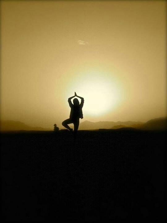 hasna_promo's profile picture. Pin : 2A73FE8B
No hp : 085860400368