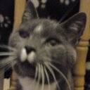 Penny hunter - @penlfc - Twitter