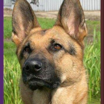 beereboot's profile picture. People can't destroy you, break you or hurt you. Only you have de power to do that to yourself.
The chaos always comes from within.

R,M Drake