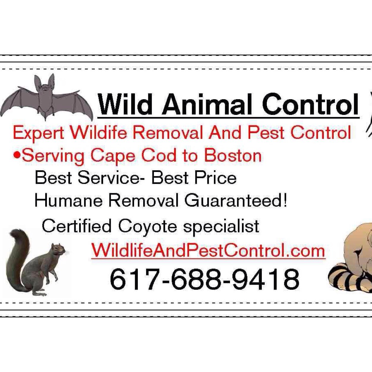 Wildlife removal (wildanimalcont) Twitter