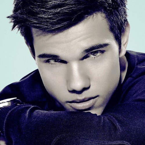 teamtaylor_twi's profile picture. 