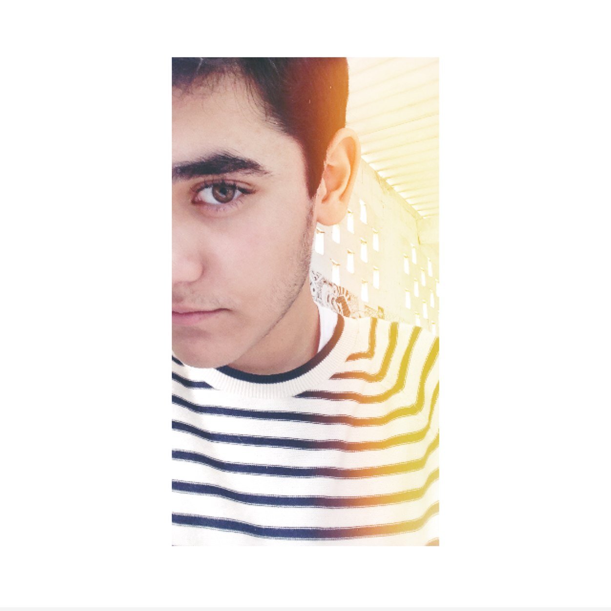 Mohamad12345566's profile picture. 