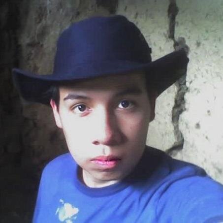Ingeniero civil, programador y doblador de cucharas.