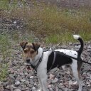 Tim Wingert - @kc7dcg - Twitter