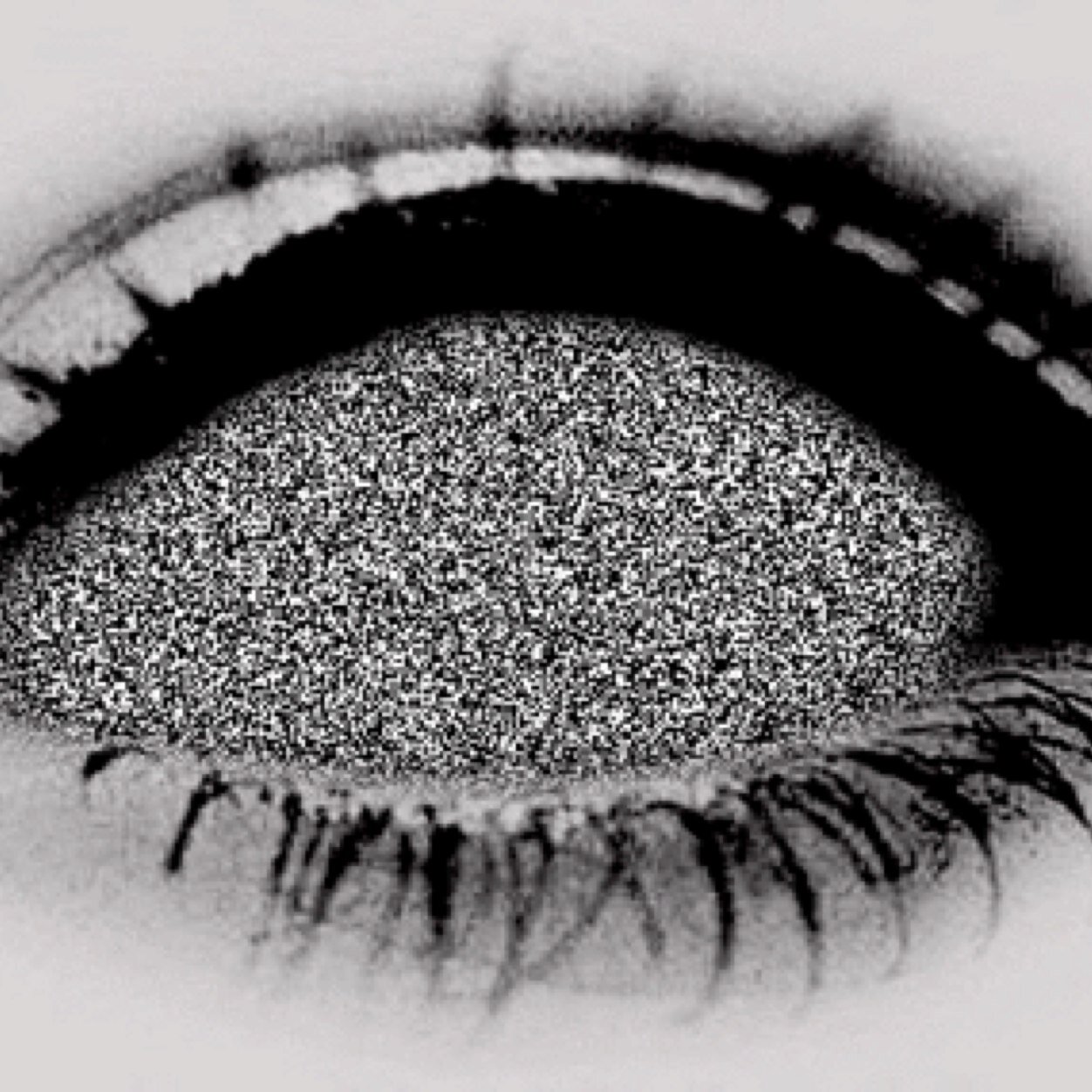 stillturningup's profile picture. society needs help.