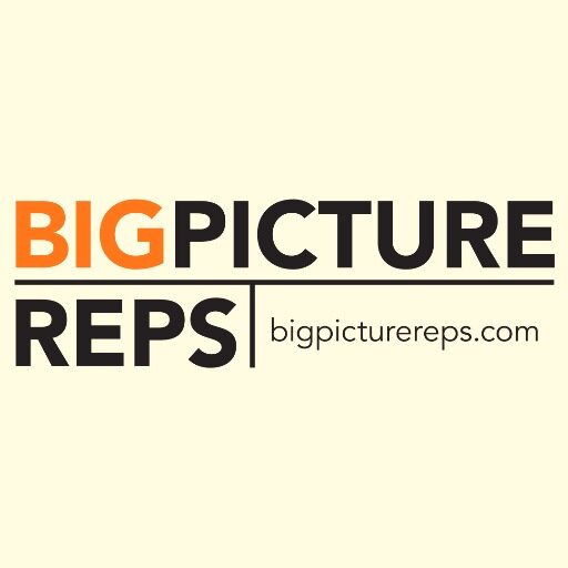 BigPictureReps Profile Picture