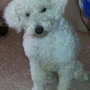 Lala ramirez  - @LalaLamorocha12 - Twitter