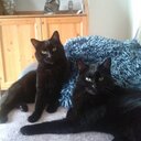 Alison Bowyer - @IlesMerlin - Twitter