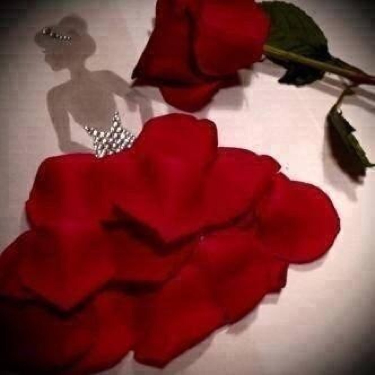 بالتويتر ” أرواحٌ راقيةٌ تخجلُني طيبتها احترمها وأقدرها . لأنها لا تستحق سوى .. الحب والاحترام والتقدير ..... همسة ♡♡ شوق .......