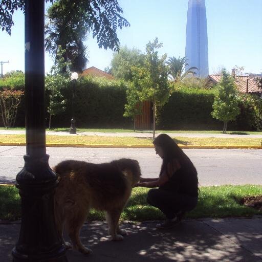 cgangasp's profile picture. Al caer no eches raíces en el suelo