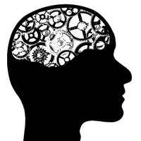 Brainipedia (@brainipedia) 's Twitter Profile