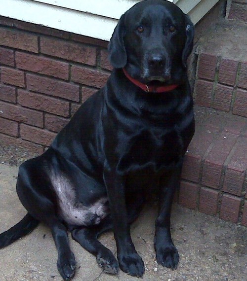 smedley38's profile picture. 