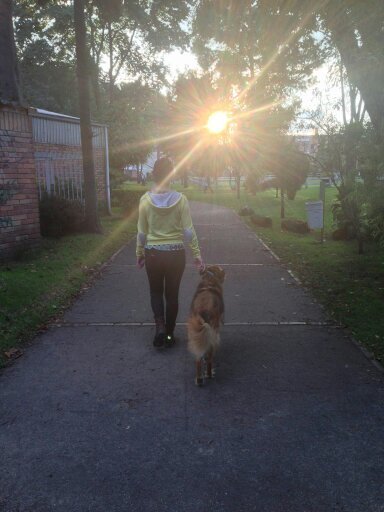 IsabelCamargo16's profile picture. 