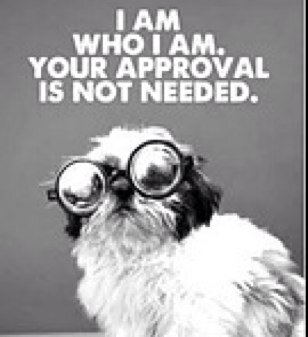 fav_kisscake's profile picture. 🌎 🌍