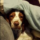 kiersten long - @LongKiersten - Twitter