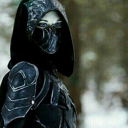 I am a dark elf and I live to serve and protect nocturnal as a Nightingale, and stand beside my fellow brothers in the Thieves Guild. |Skyrim RP|