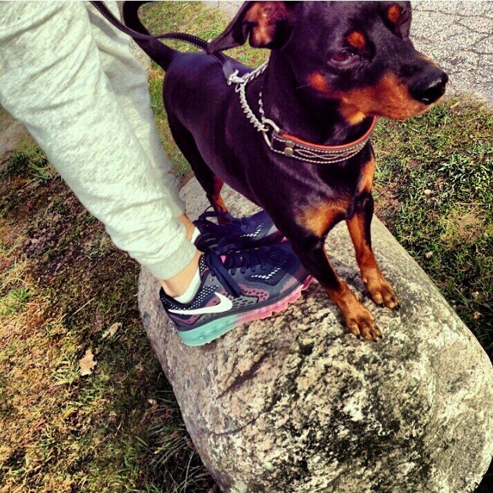 MowafyShahd's profile picture. 