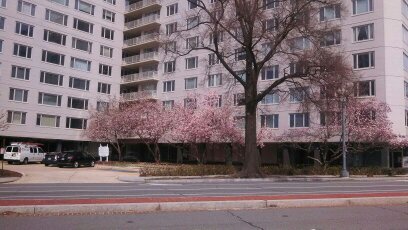 bartolomei74's profile picture. 