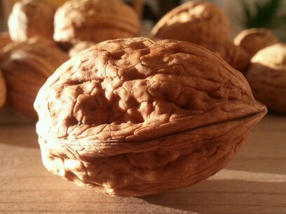 Elinoix's profile picture. Producteur de l'AOP Noix de Grenoble . Je fais de la vente directe de ma production, si vous voulez des renseignements ne pas hésiter à me contacter.