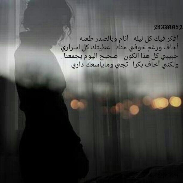 matar12_67315's profile picture. 