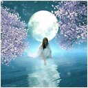 seema ali - @seemamehmood37 - Twitter