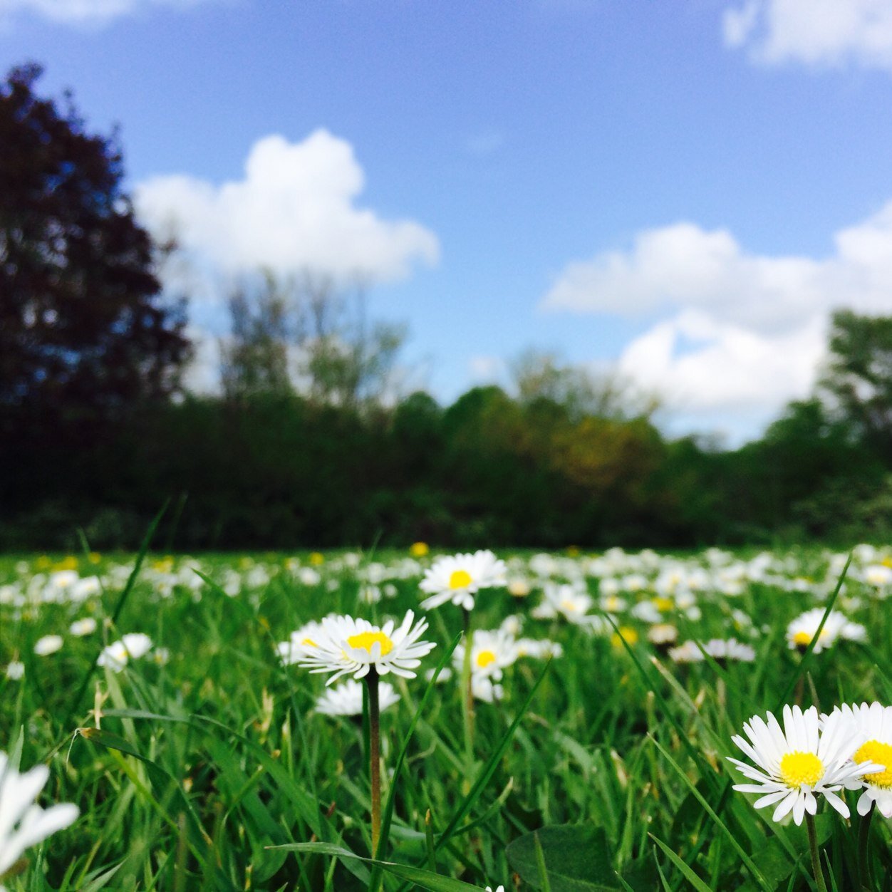 Beginning our photography business called Bright Focas! hope you like it✌️