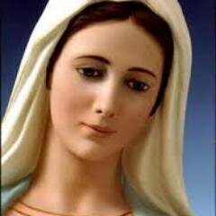 Activista , progresista, amante de la vida , derechos humanos y convesido que nuestro pais tiene que cambiar. con cristo cambiaremos el mundo