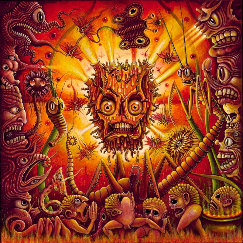 segutor's profile picture. 