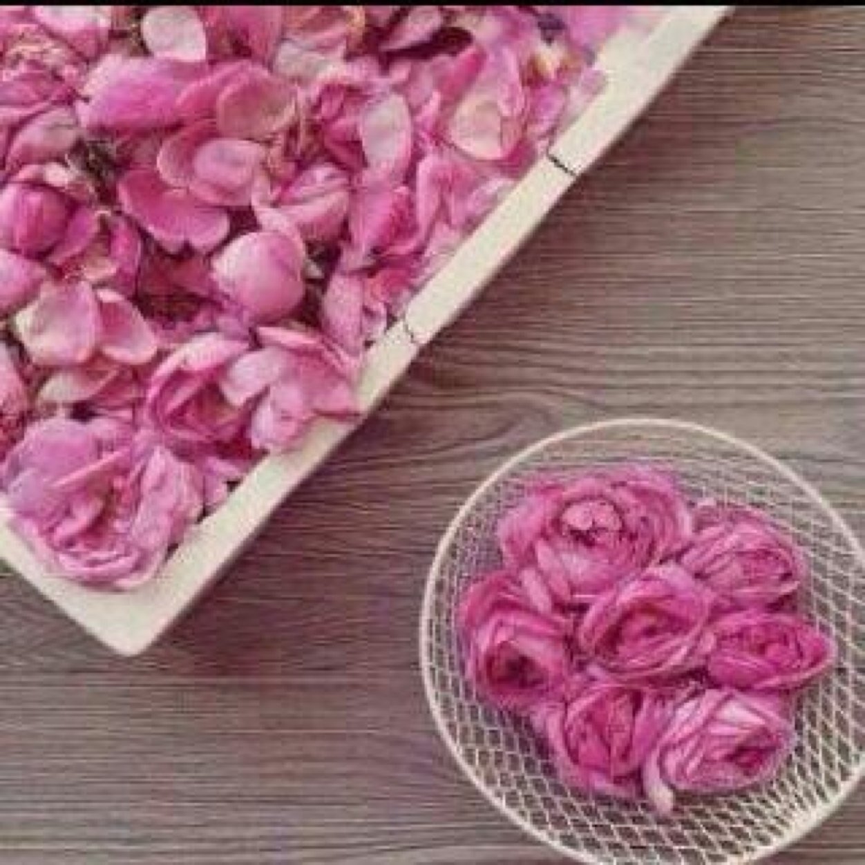 M09Maram Profile Picture