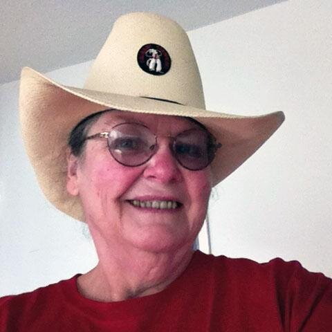 I'm retired and interested in all kinds of things