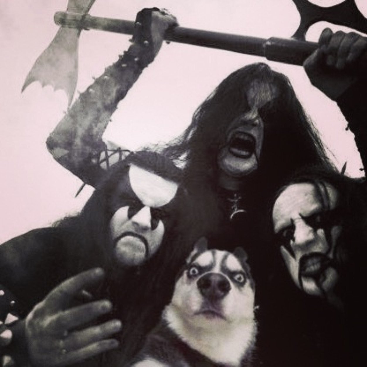 Don_Today's profile picture. Доска бесплатных объявлений Ростовской области.