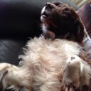 Marc Sharp - @Sharpym77 - Twitter