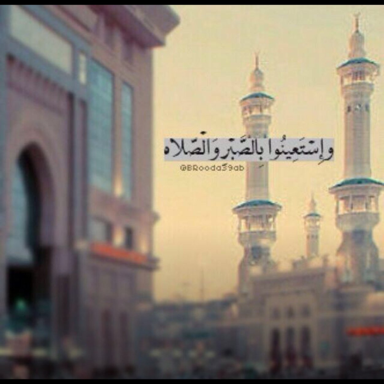 الحساب للجميع انسخ كل ما تريد وانشره بإسمك .
