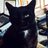 Biscuit1104's profile image