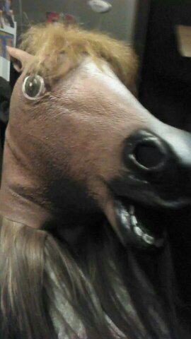 hay there!